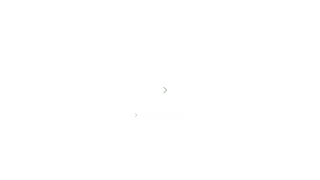 LOGO ECHO S04rond alpha