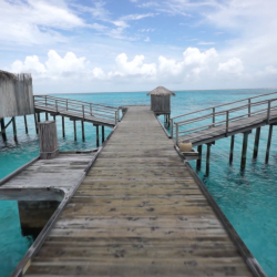 ECHO309_maldives_img01