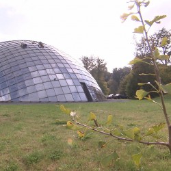 ECHO206_comptoirforestier_img01