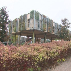 ECHO208_ecolesuspendue_img06