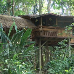 ECHO208_treehouselodge_img04